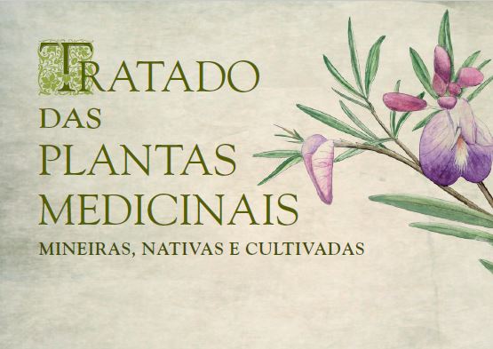 Plantas Medicinais